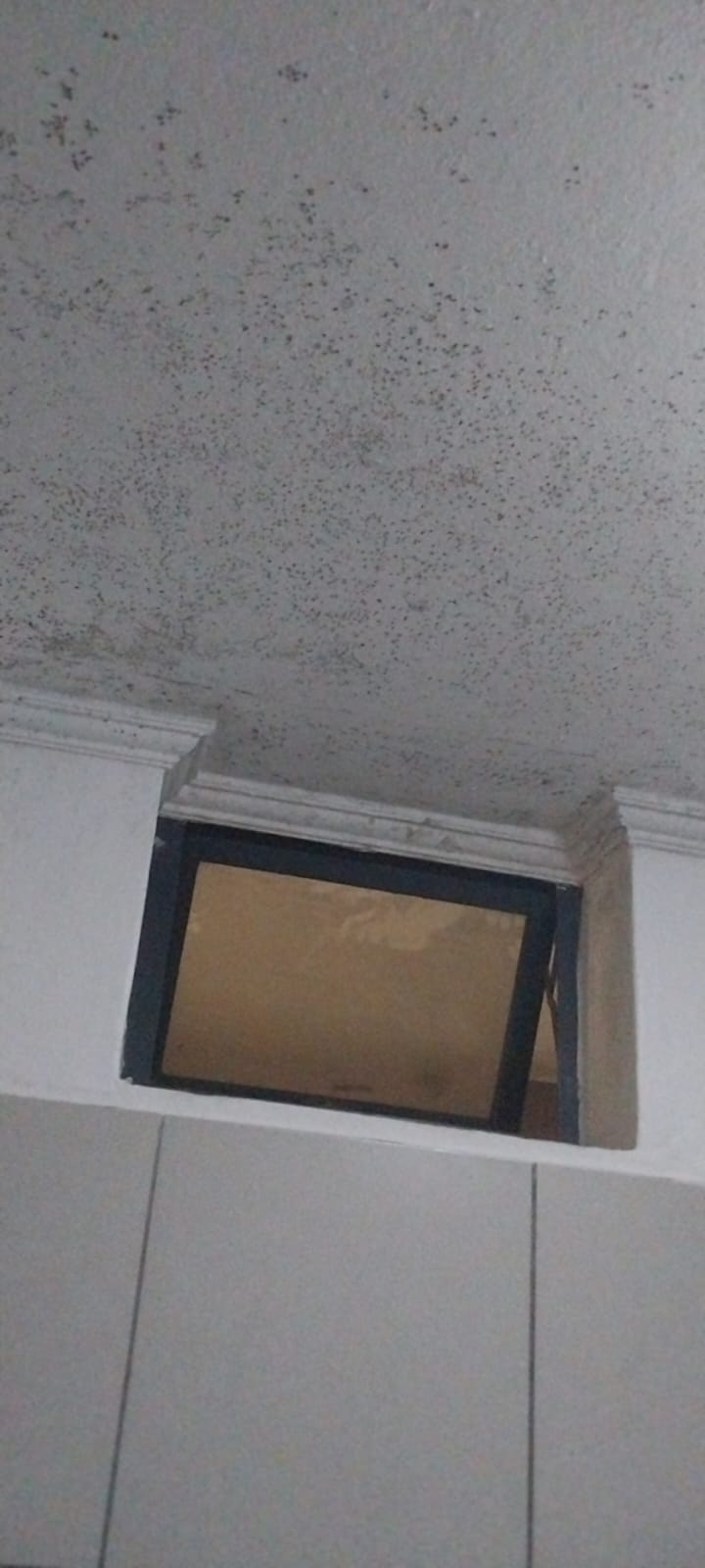 Deep Cleaning